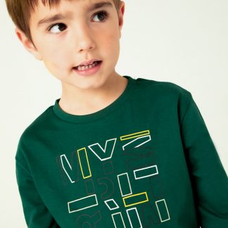 CAMISETA LETRAS BASICA 053 ALPINO