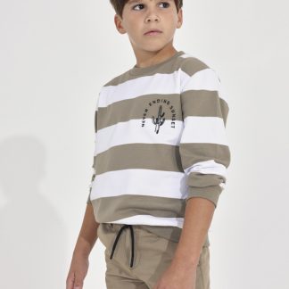 PULLOVER BORDADO 027 FOSIL