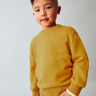 JERSEY BASICO 089 MOSTAZA