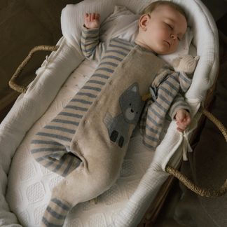 SET 2 PELELES 053 CEREAL VIG